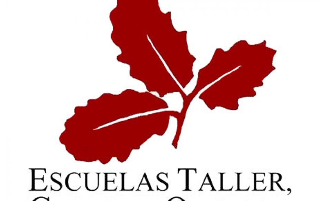 Arquitecto técnico en escuelas taller