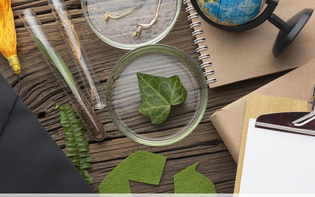 Estudio de Gestión de Residuos