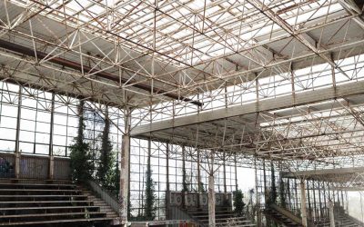 Proyecto de Ampliación de Naves