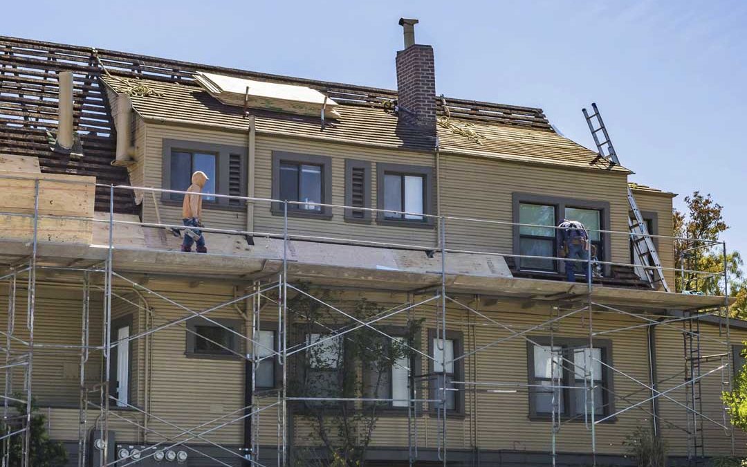 Proyecto de Conservación