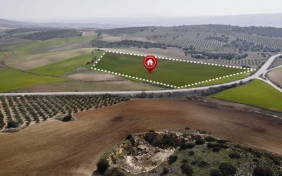 Proyección y Dirección de Parcelación