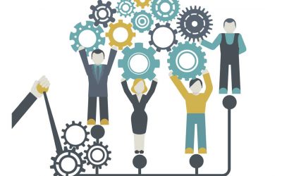 Colaboración Técnica